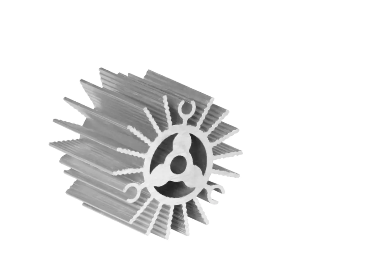 2009asl-02-1-1-1-1.jpg