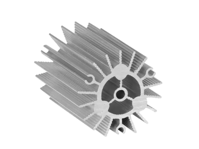 2010asl-02-1-1-1.jpg